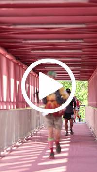 BIB:  <button type="button" onclick="openModal(27435336)" class="btn btn-primary btn-sm float-right" data-toggle="modal" data-target=".modal-high-quality">
                <i class="fa fa-download"></i> Download
                </button>